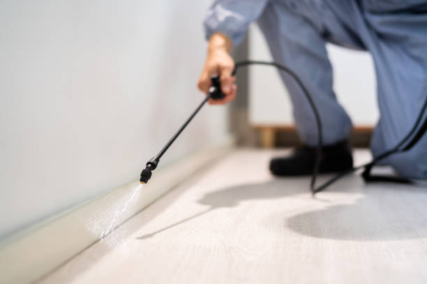 Licensed Cockroach Control service in McHenry, IL - Nex Pest Control