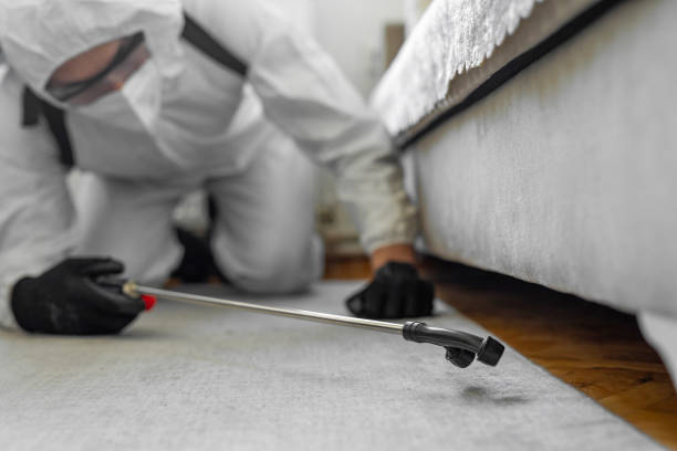 Professional Cockroach Control technician working in McHenry, IL
