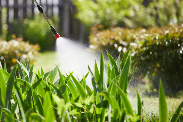 24/7 Emergency Cockroach Control experts in McHenry, IL